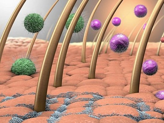 La importancia del ecosistema de la piel para la salud